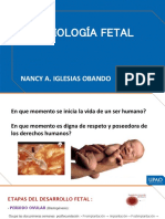 Fisiología Fetal