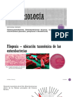 Enterobacterias 1