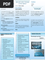 Publicação2 - meio aquatico com alterações (1)