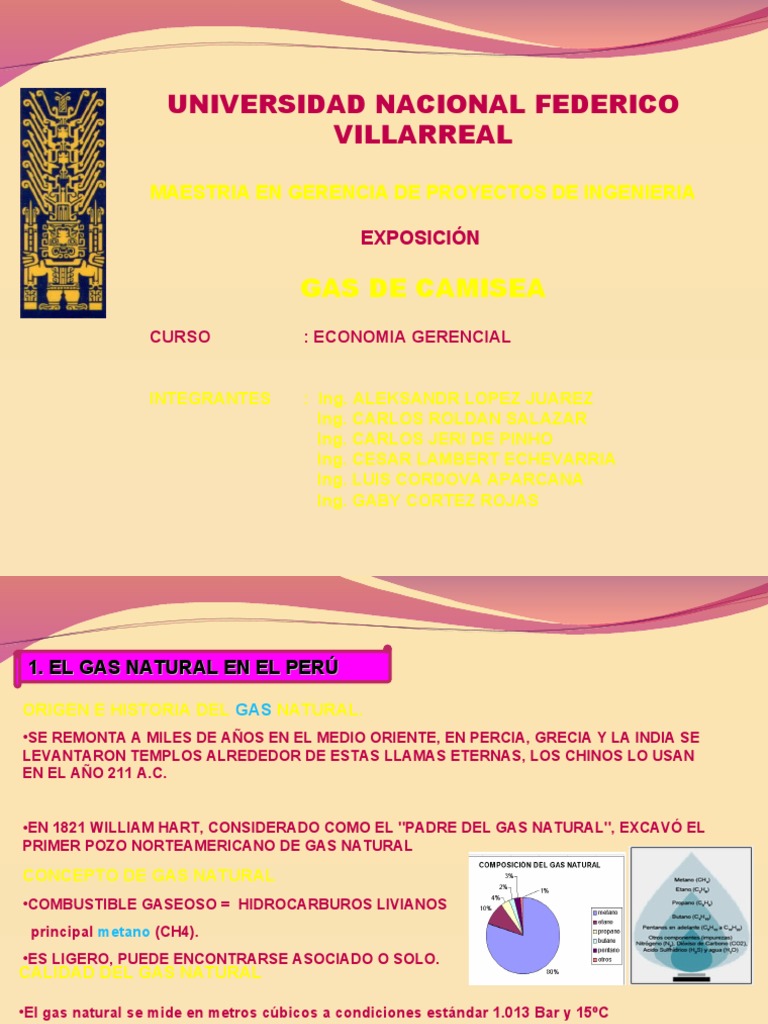 Exposicion Gas de Camisea 1 | PDF | Gas natural licuado | Combustibles ...