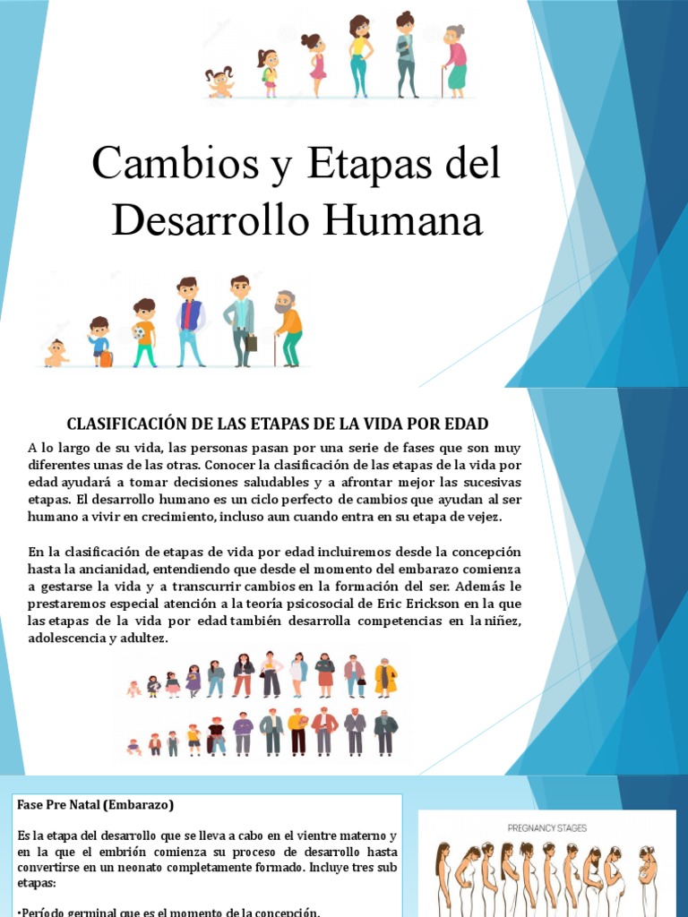 Etapas del Desarrollo Humano por Edad | PDF | Adultos | Adolescencia