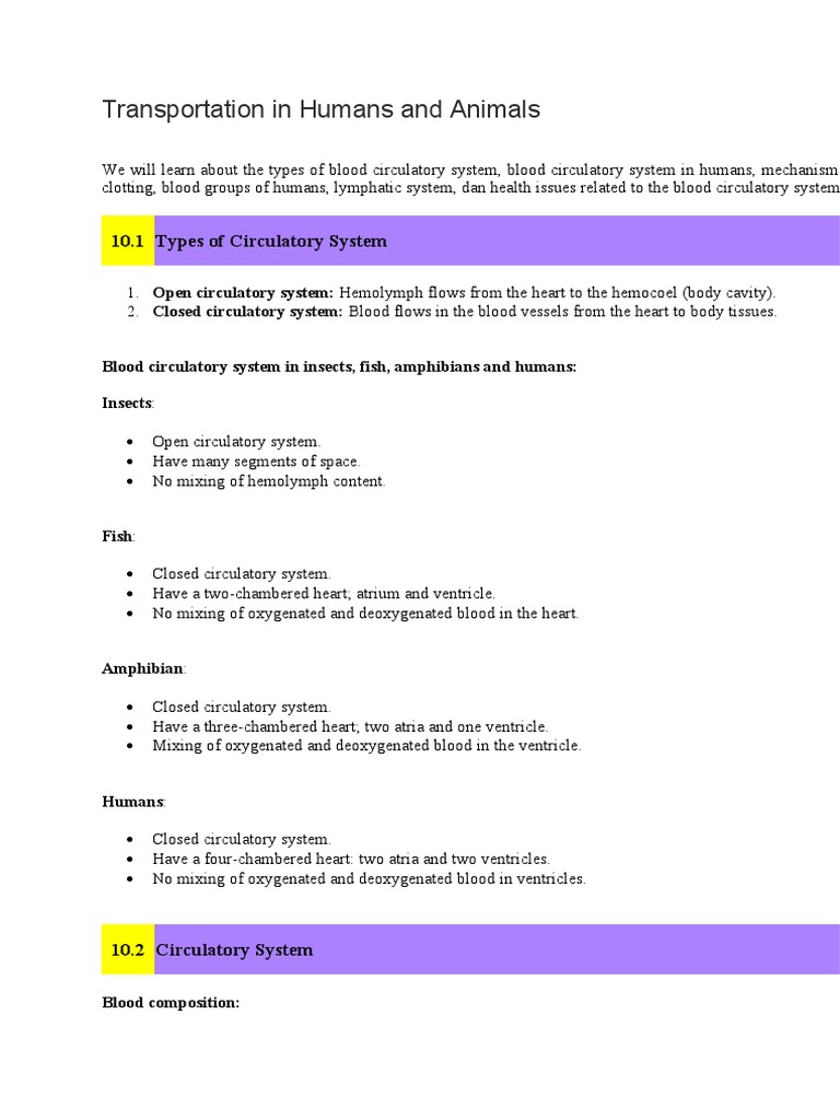Biology Notes Chpter 10 | PDF | Artery | Circulatory System
