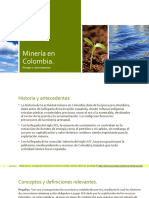 Riesgos y Problemáticas - Minería