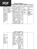 Matriz de Consistencia - Colaborativo