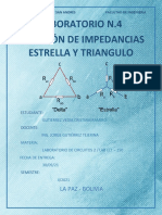 Informe Delta Estrella