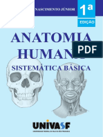 Copy2 of eBook Anatomia Humana Sistematica Basica
