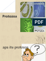 PROTOZOA