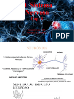 O Sistema Nervoso: Neurônios, Impulsos Nervosos e Comunicação Sináptica