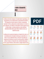 Desarrollo Del Cerebro Humano y Los Efectos Del Entorno Sobre El Desarrollo Cerebral