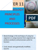 Biotechnology principles and processes explained