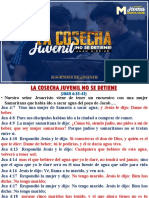 La Cosecha Juvenil No Se Detiene