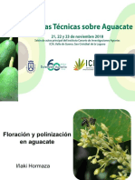 Floracion y Polinizacion Palto