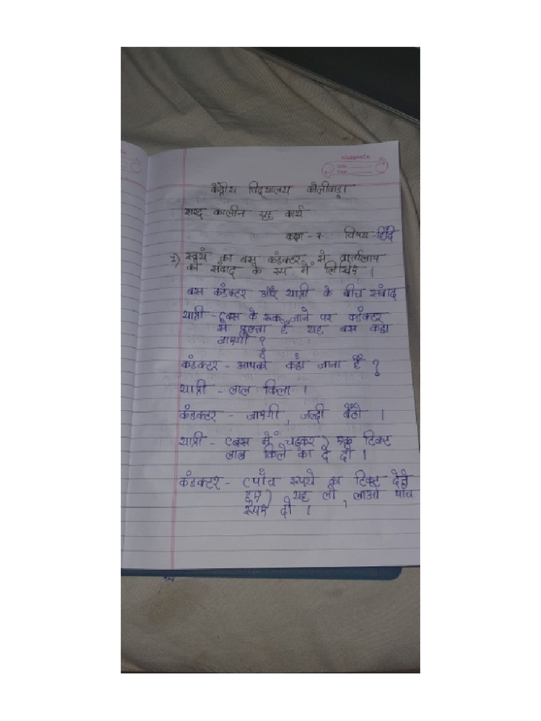 Hindi Holiday Homework PDF