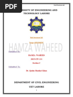 University of Engineering and Technology Lahore: Steel Structures Lab Design Assignment