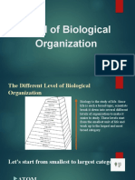 Level of Biological Organization
