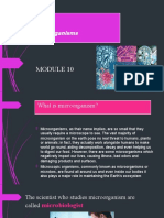 MODULE 10 MICROORGANISM