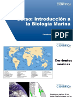 Clase 5 Ecosistema Marino Peruano