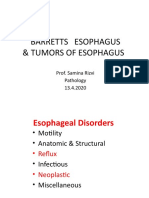 Barret's & Tumors of Esophagus, SR, April 20