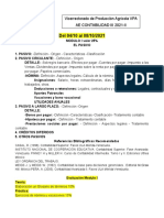 PLAN DE EVALUACIONES CONTABILIDAD III Auto Estudio 2020-II