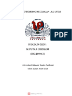 Makalah Epidemiologi Kecelakaan Lalu Lintas M. Putra Caniago