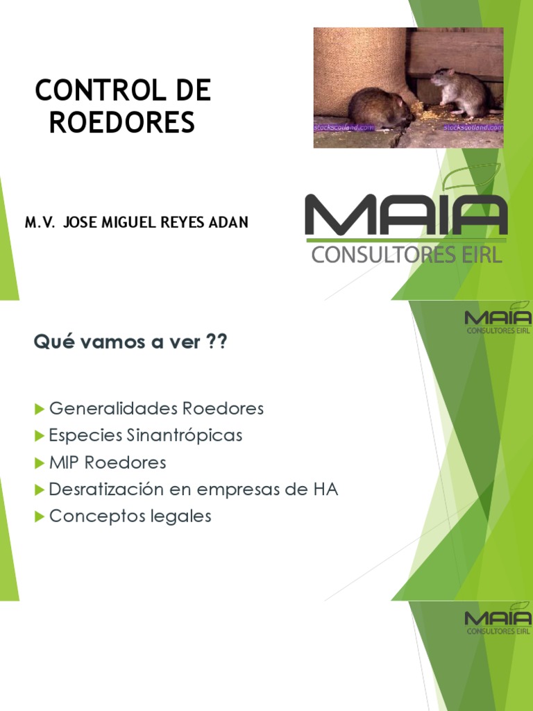 Modulo 1: Control de Roedores | PDF | Roedor