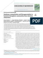 Petroleum Contamination and Bioaugmentation in Bacterial Rhizosphere Communities From