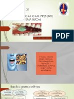 Tema 31 MICROFLORA ORAL PRESENTE EN EL SISTEMA BUCAL