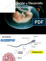 Fecundación y Desarrollo embrionario