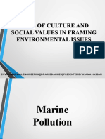 Role of Culture and Social Values in Framing Environmental Issues