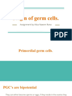 Origin of Germ Cells.