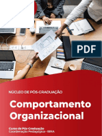 1 Comportamento Organizacional 1