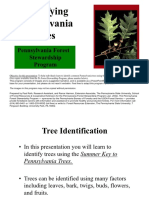 Pennsylvania Tree ID Program