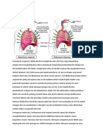 Mekanisme Pernapasan
