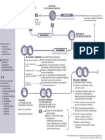 u8cdBXy8sPhcRuC7 - XG MwKQWiMFRiDNb Esquema de Atención para Abordar El Deterioro Cognitivo