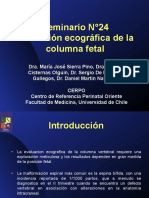 Evaluacion de Columna Fetal - Archivo