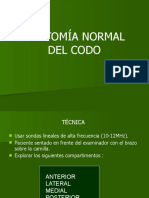 Anatoma Normal Del Codo