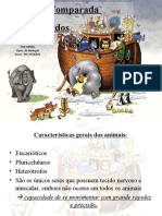 anatomiacomparadadevertebrados-121212194047-phpapp01