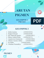 Kelompok 2 - PSB19 - Pigmen