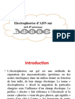 TPP Electrophorese