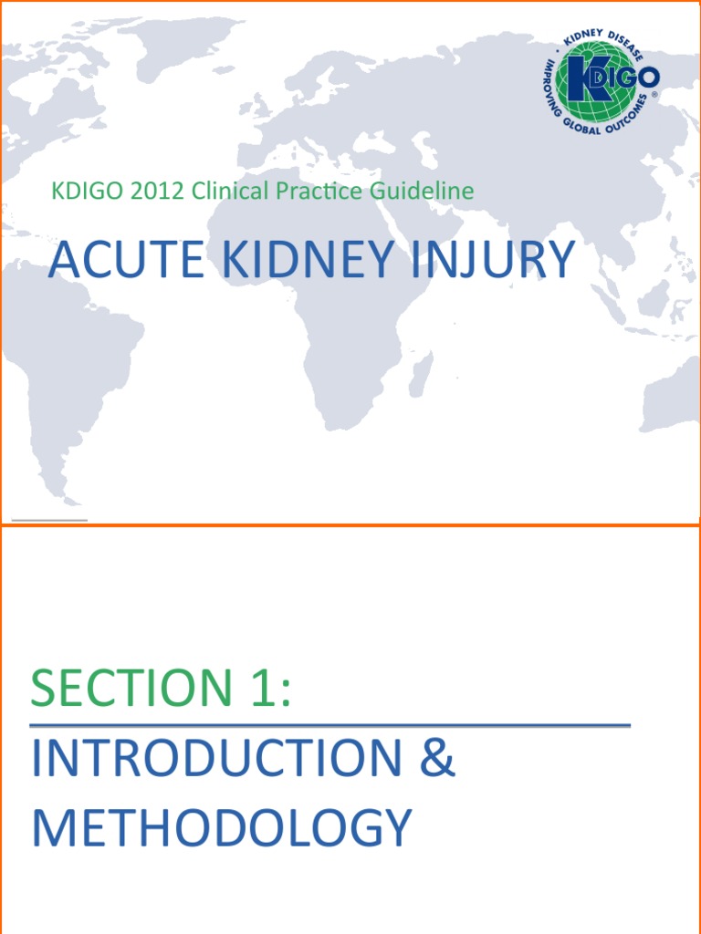 Acute Kidney Injury KDIGO 2012 Clinical Practice Guideline PDF