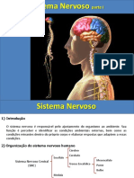 Sistema Nervoso - Aula 1