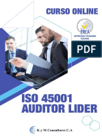 Iso 45001 Auditor Lider Erca - 2020