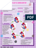 Ciclo Cardiaco