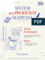 Sistem Reproduksi Pria