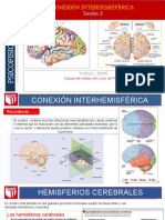 Sesión 3 Conexión Interhemisférica