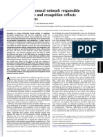 Activation in The Neural Network Responsible For Categorization and Recognition Re Ects Parameter Changes