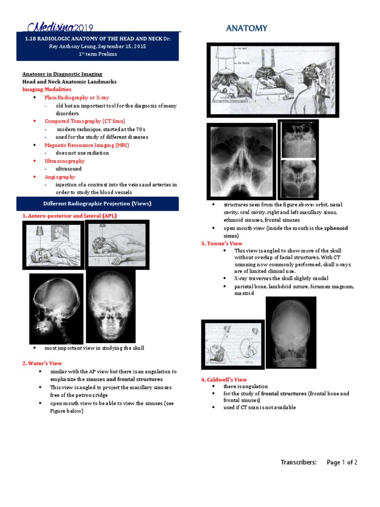 Radiologic Anatomy of Head and Neck | PDF | Ct Scan | Medical Imaging