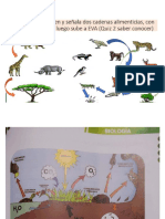 Cadena Alimenticia, Modulo 119,120,121 Punto 3