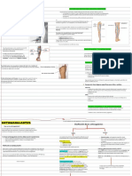 Repaso de Hemato Lab