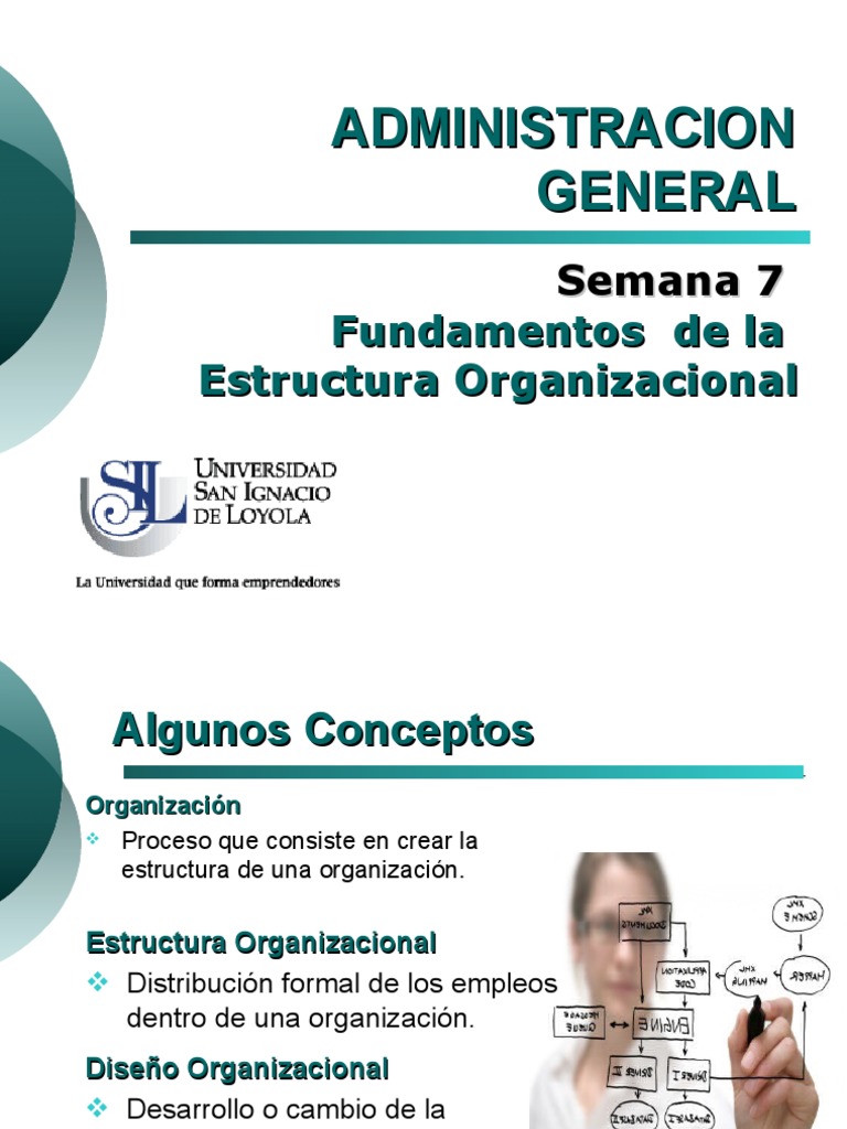 7-Fundamentos de La Estructura Organizacional | PDF | Marketing | Economias